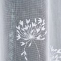 b424be4e1fad12899b6e40d6e75c6ad5