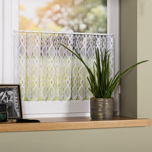 Zazdrostka gipiurowa, wysokość 40 cm, kolor biały