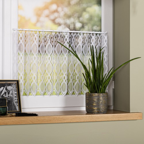 Zazdrostka gipiurowa, wysokość 40 cm, kolor biały