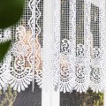 Zazdrostka gipiurowa, wysokość 75 cm, kolor biały